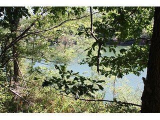 Property photo 28 - 419 +/- Acres offered in 6 Tracts, Land Auction